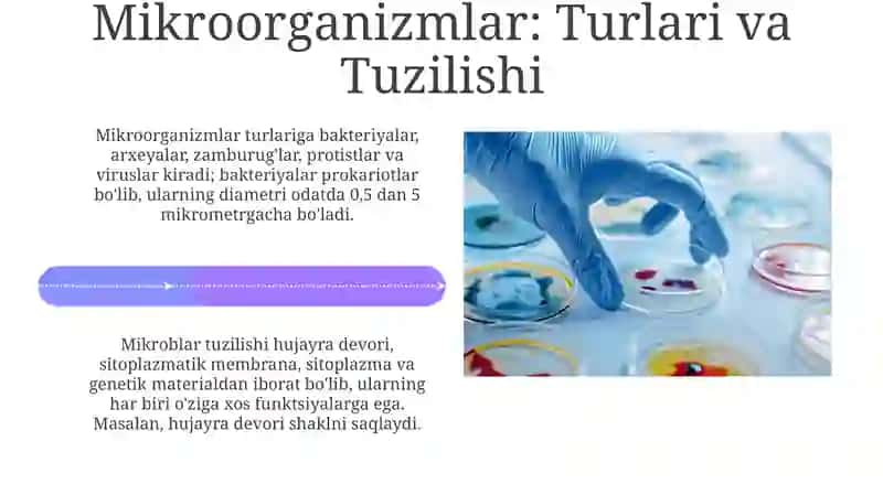 Mikrobiologiya 4