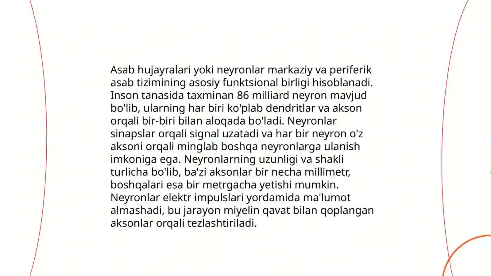 Nerv sistemasi va uning tuzilishi 4