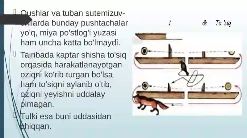 Biologiya 4