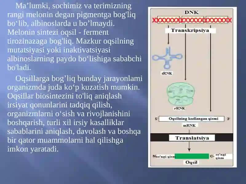 Translyatsiya Haqida Umumiy Tushuncha 4