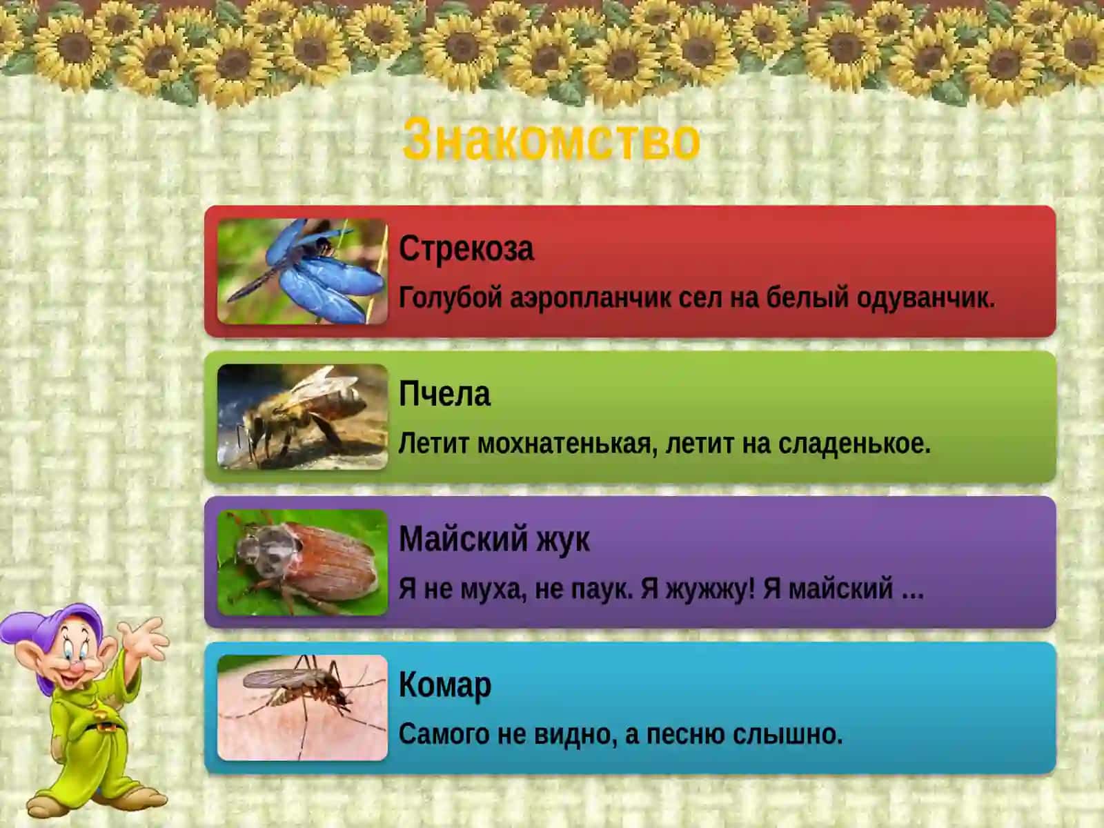 Насекомые 4