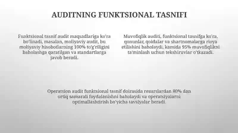 Auditorlik tekshiruvi 4