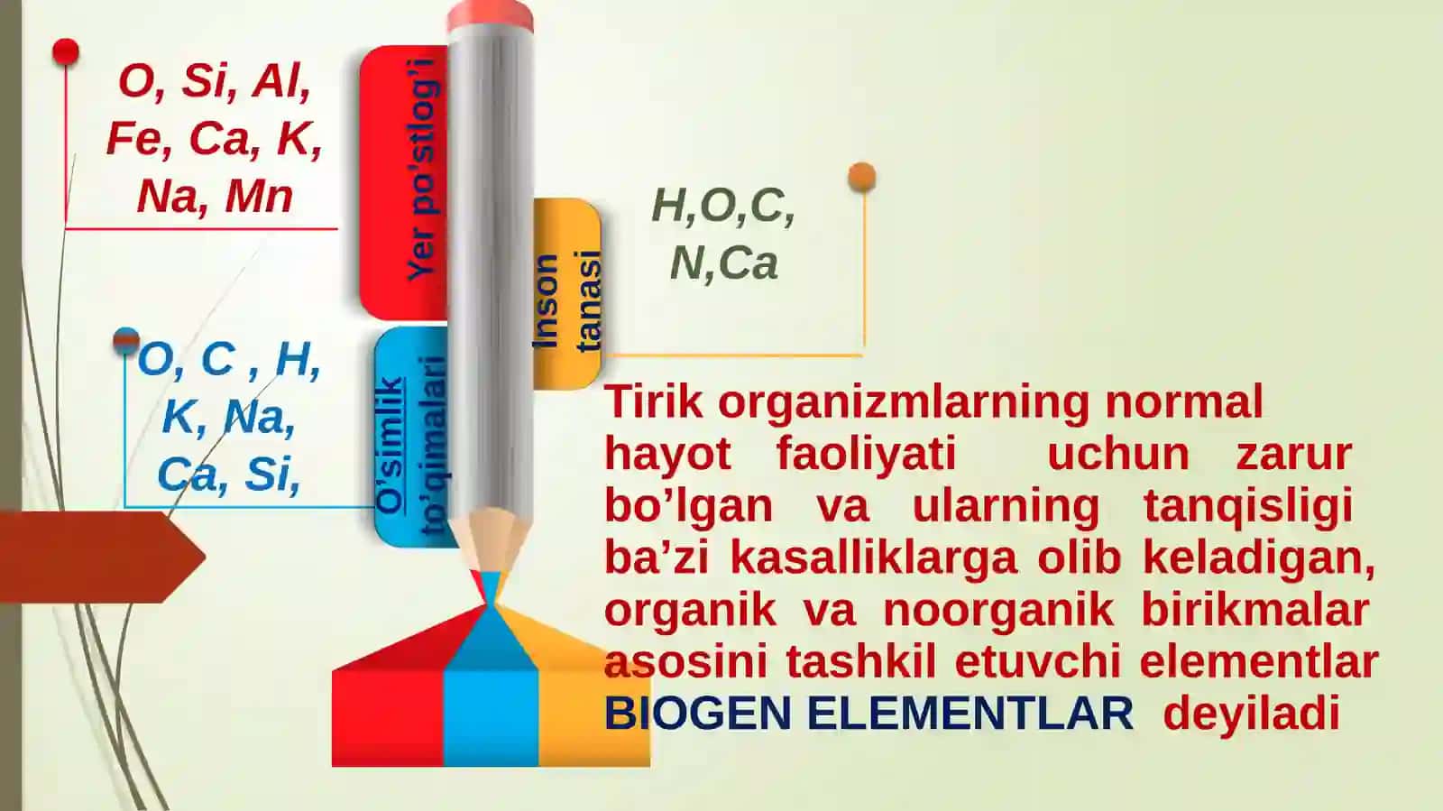 Organizmdagi Biogenelementlar 4