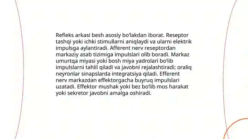 Reflekslar va ularning tasnifi 4