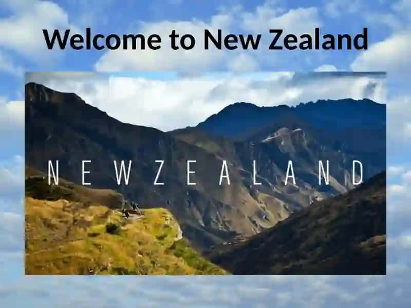 New Zealand Travelling Guide 4