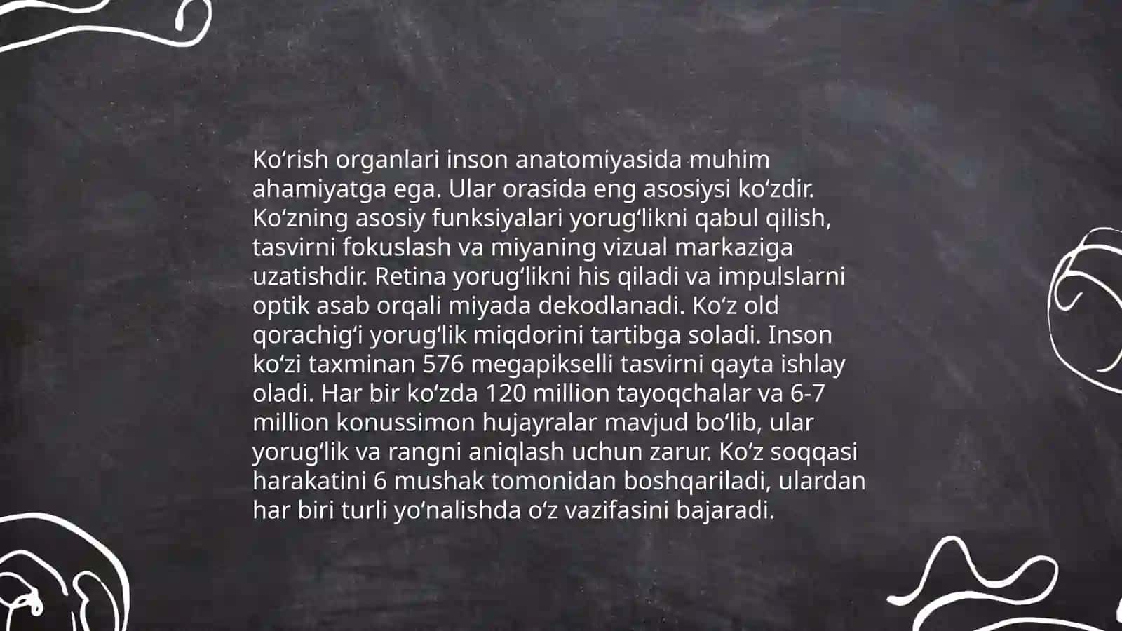 Koʻrish organlari tuzilishi 4