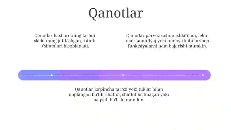 Hasharotlar morfologik belgilari 4