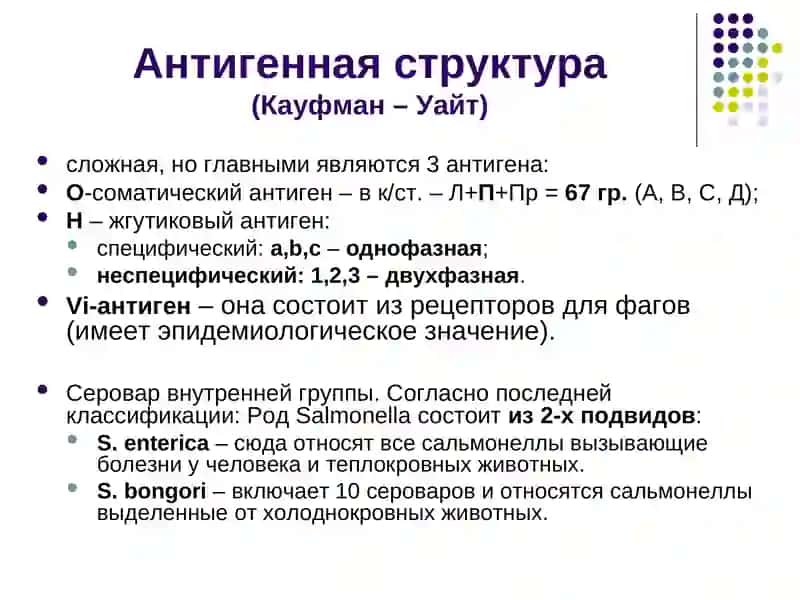 Характеристика возбудителей тифо – паратифов 4