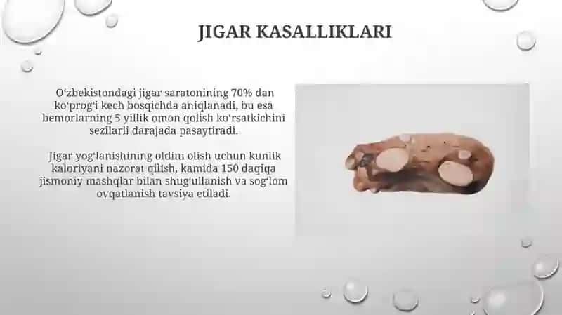 Jigar va oʻt pufagi 4