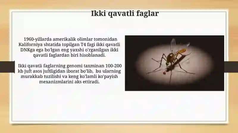 Bakteriyofaglar 4