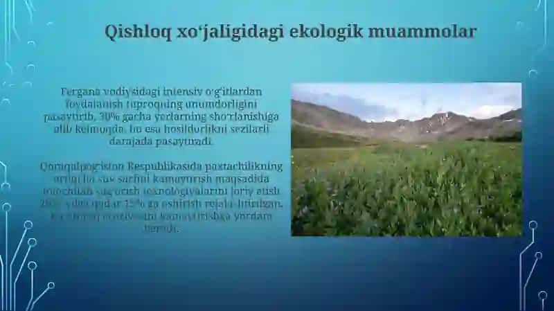 Energetika sohasidagi ekologik muammolar 4