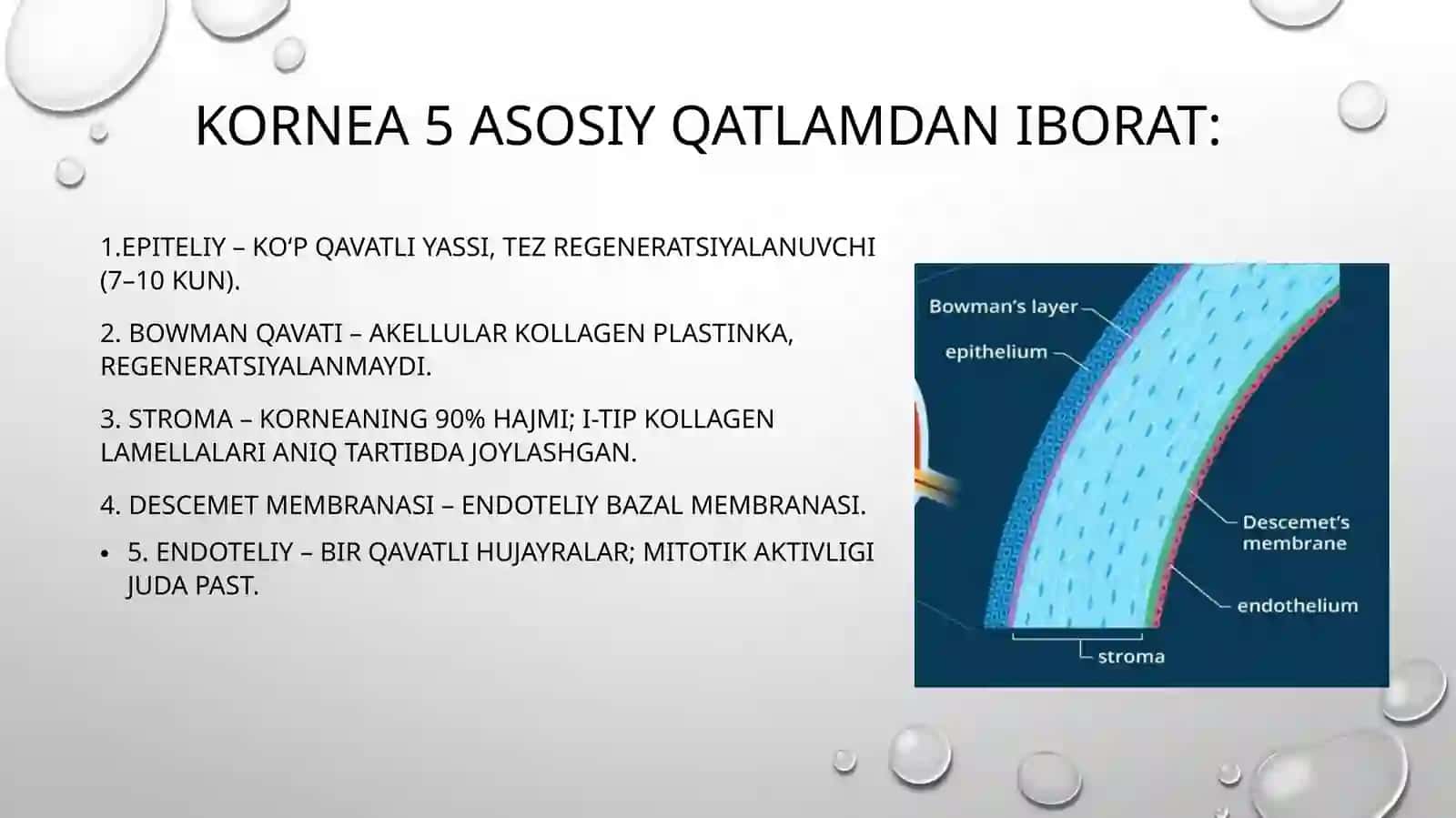 Shox pardaning kasbiy zararlanishi va uning profilaktikasi 4