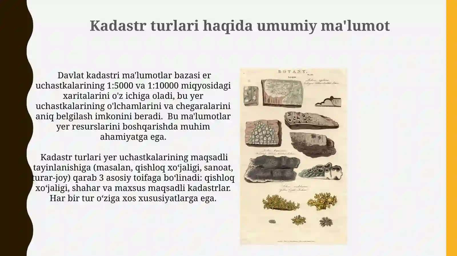 Davlat yer kadastiri vauningturlari 4