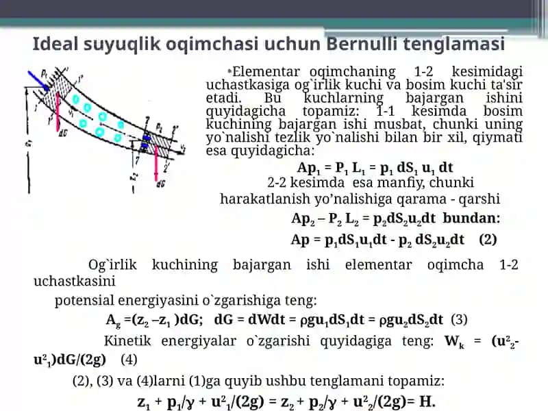 Bernulli tenglamasi 4