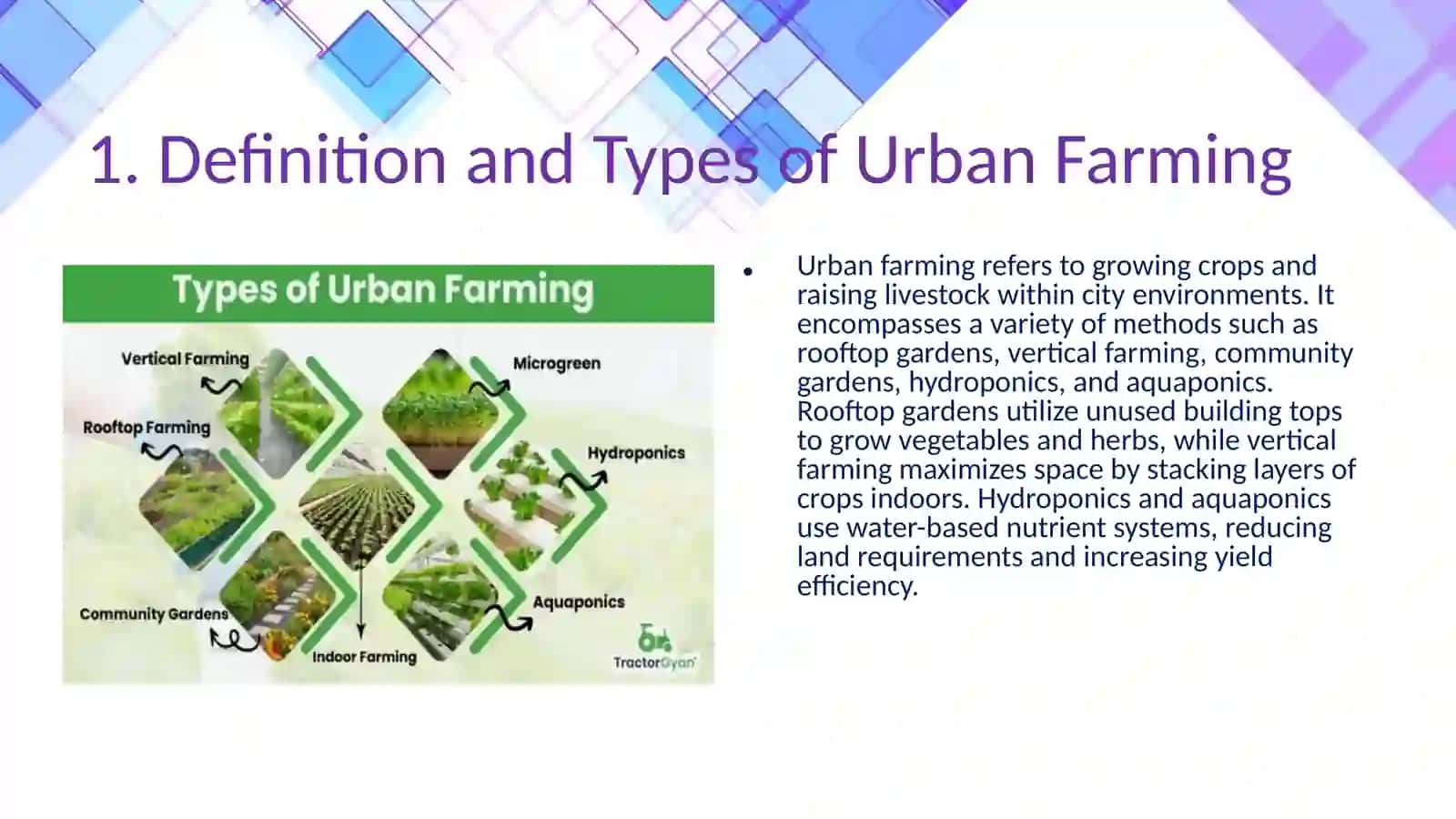 Urban farming 4