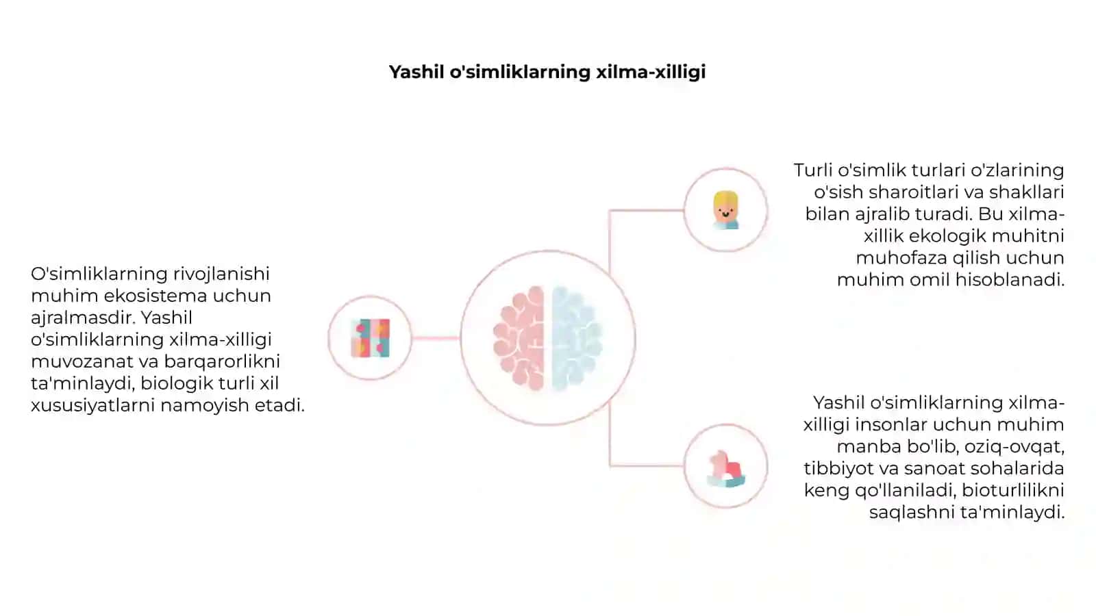 O'simliklarning rivojlanish bosqichlari 4