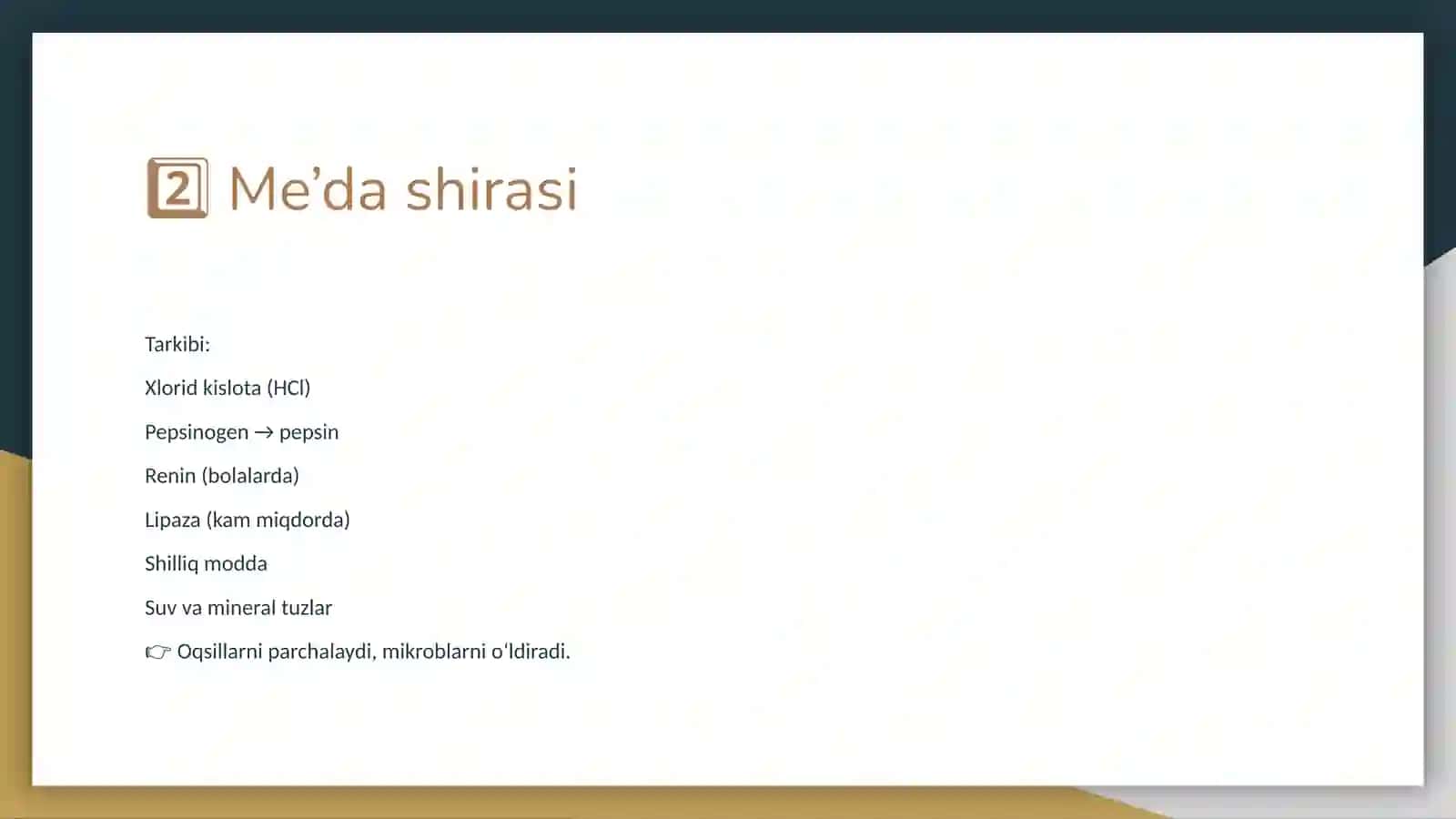 Hazm kanalıdagı shıralar 4