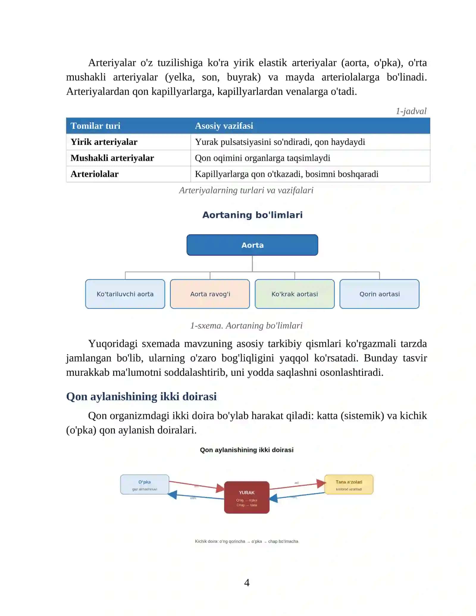 Arteriyalar tizimining umumiy sxemasi 4