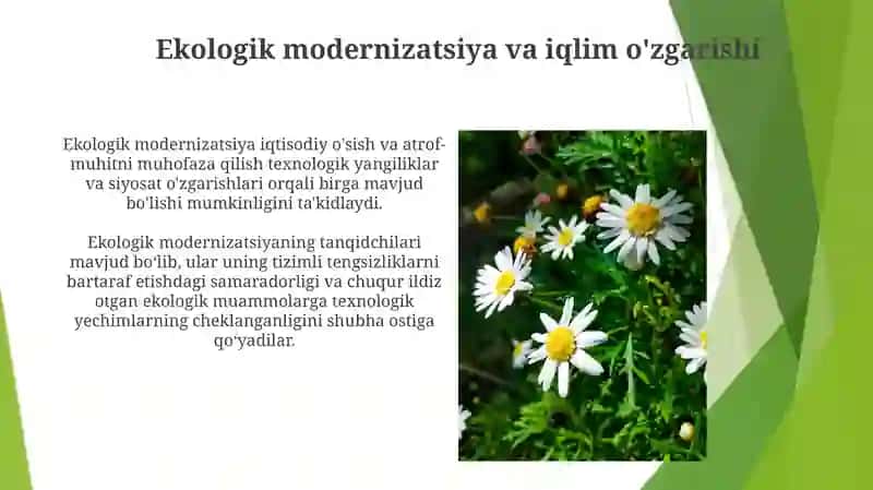 Ekologik modernizatsiya 4