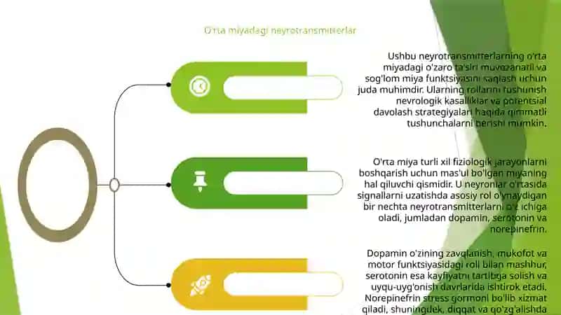Oʼrta miya fiziologiyasi 4