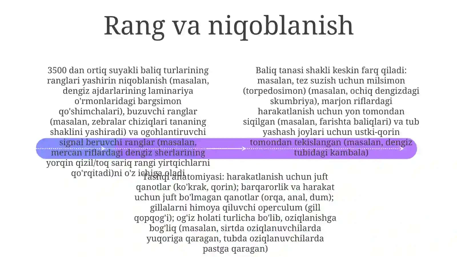 suyaklibaliqlarnitashqituzulishi 4