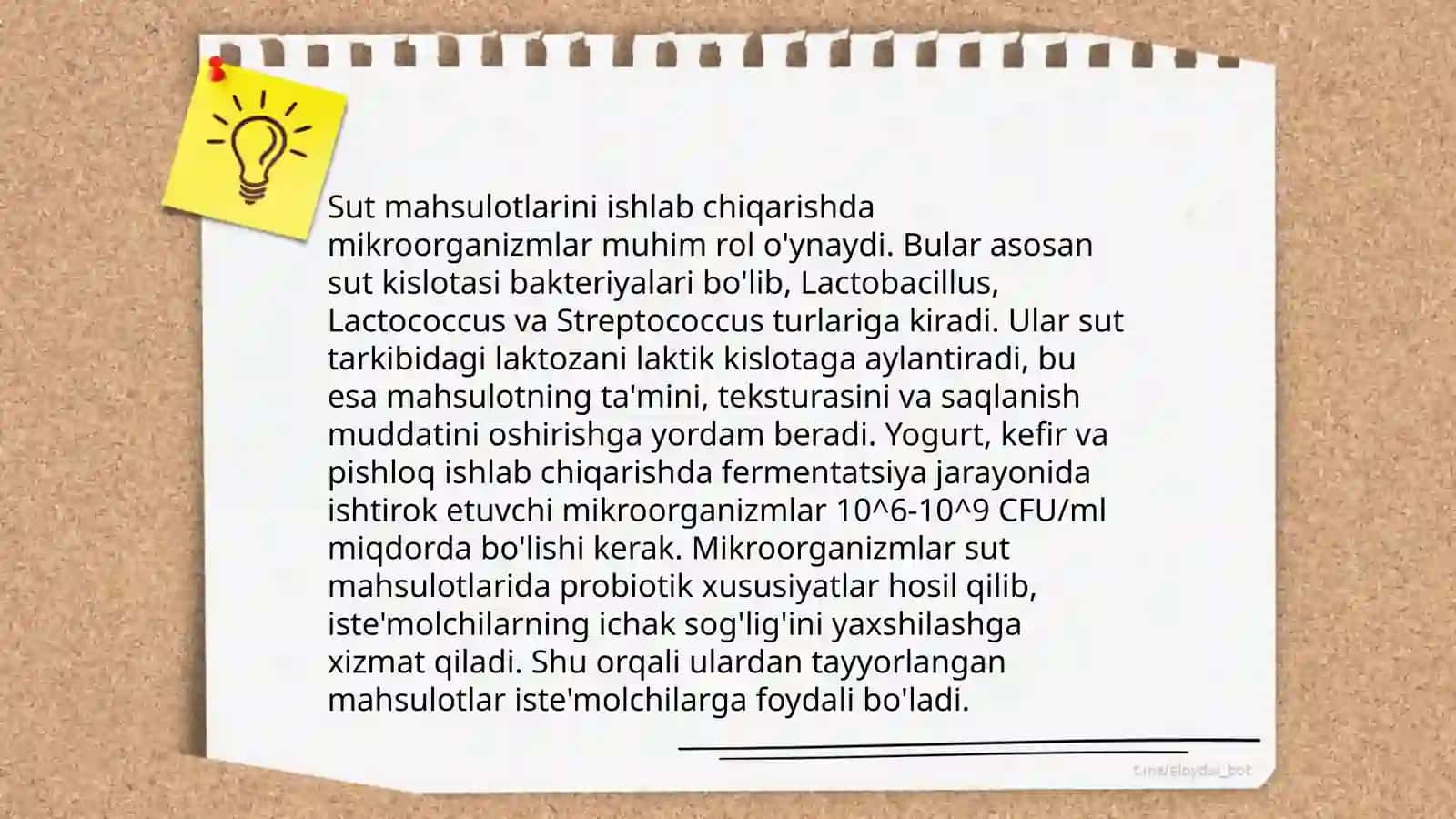 Fermentatsiya jarayoni 4