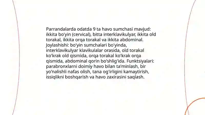 Parrandalarning nafas olishi oʻziga xos xususiyatlari 4