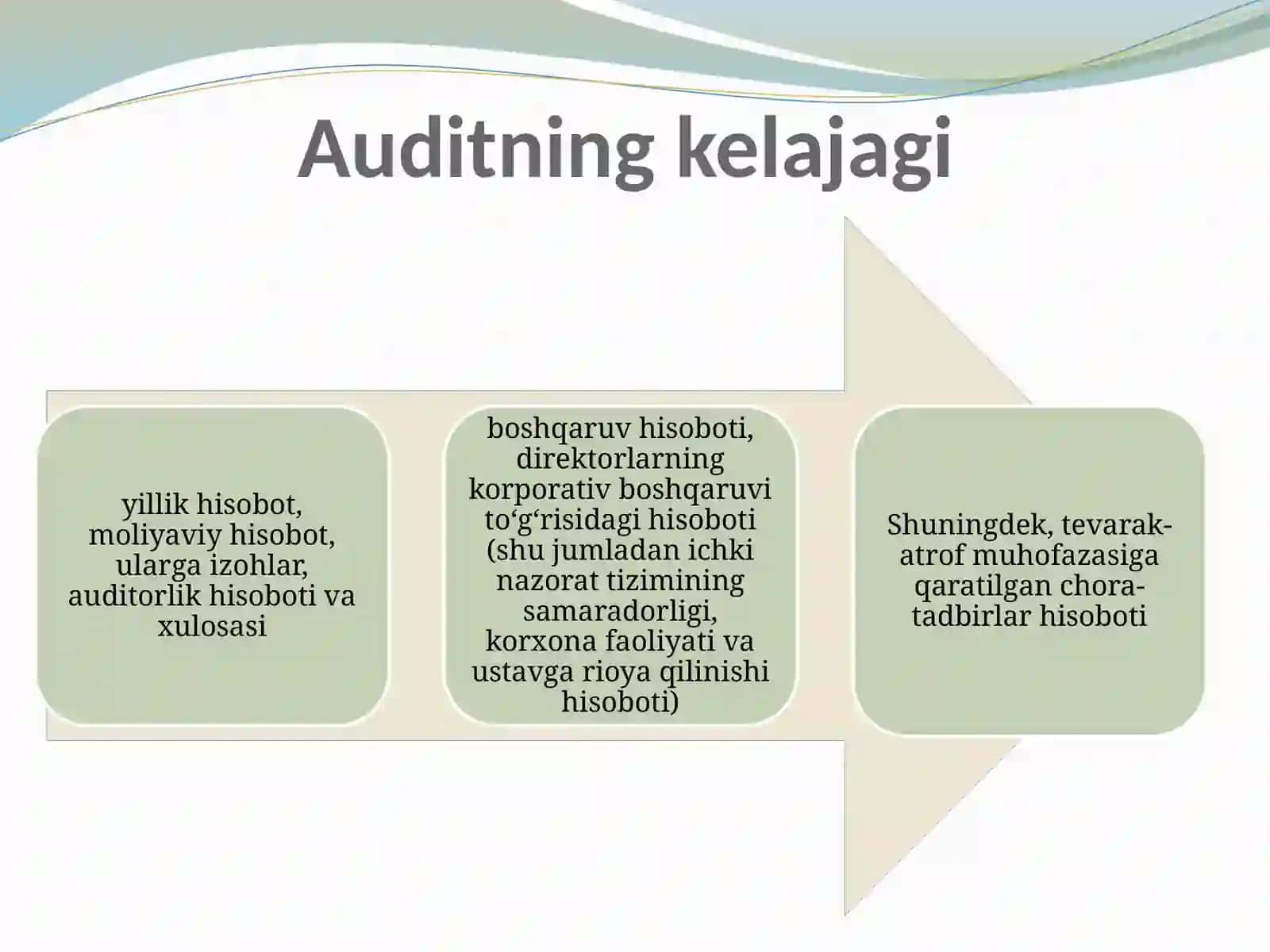 AUDITGA UMUMIY TAVSIF 4