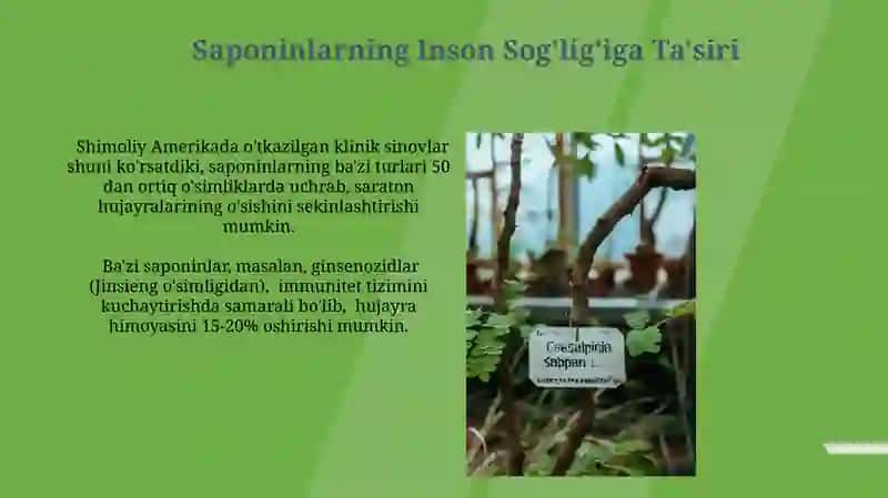Saponinlar 4