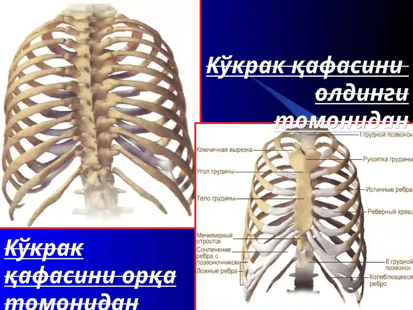 ТРАВМАТОЛОГИЯ, ОРТОПЕДИЯВА ХАРБИЙ ДАЛА ЖАРРОХЛИГИКАФЕДРАСИ 4