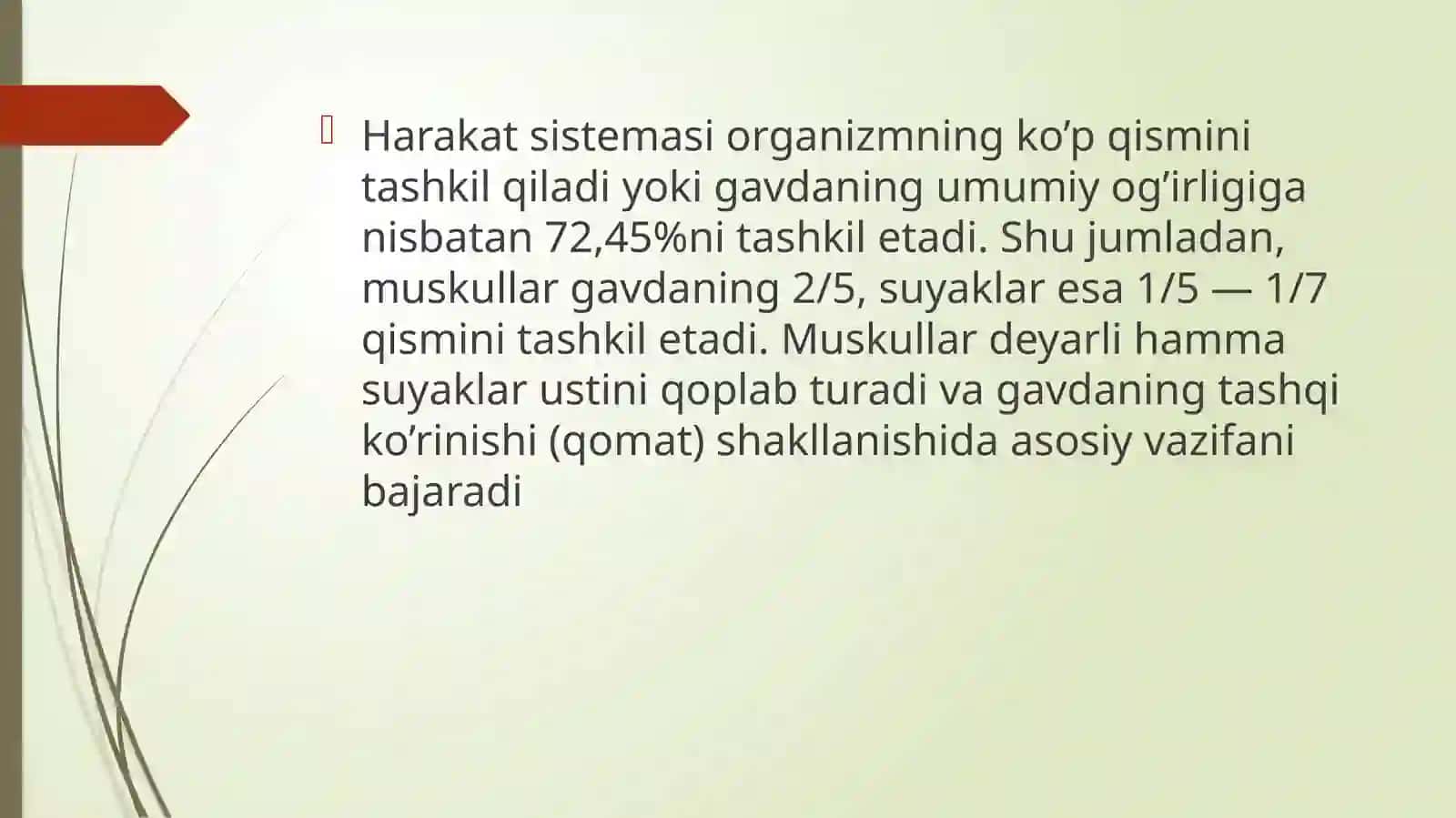 Osteologiya. Suyaklar haqida ta’limot. Suyaklarning tarkibiy tuzilishi, tasnifi 4