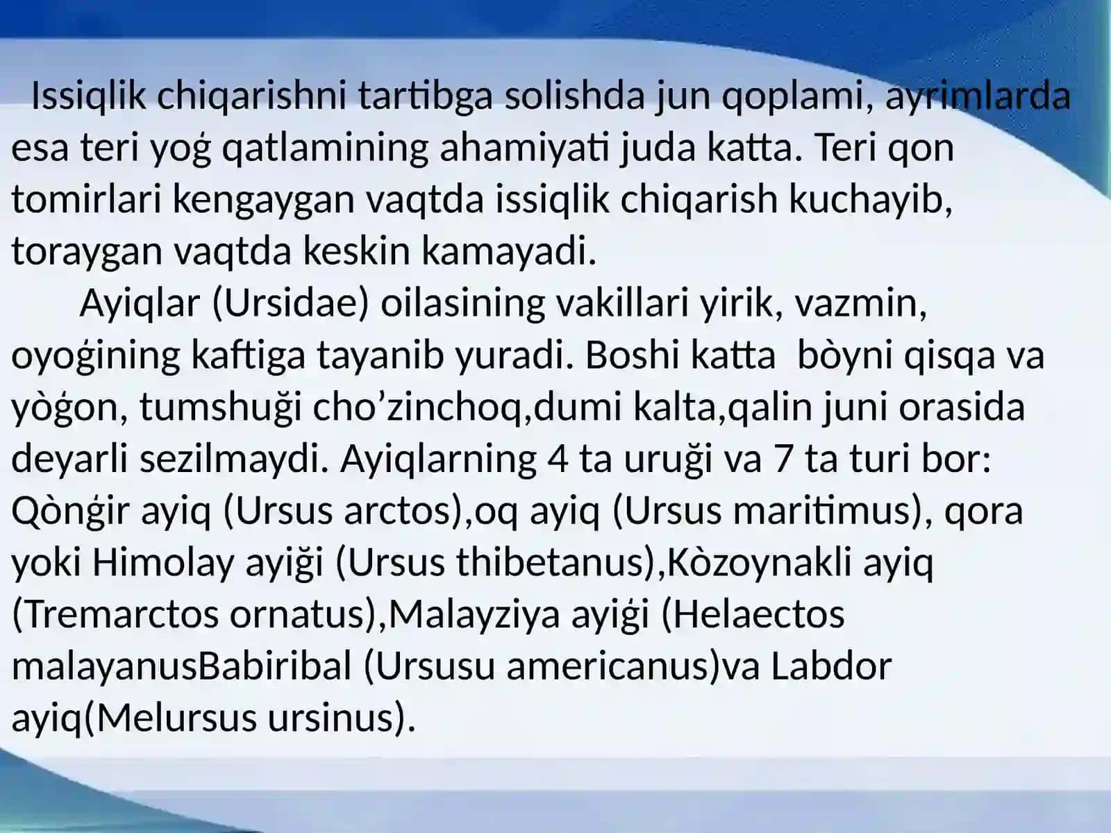 Ayiqsimonlar oilasi 4