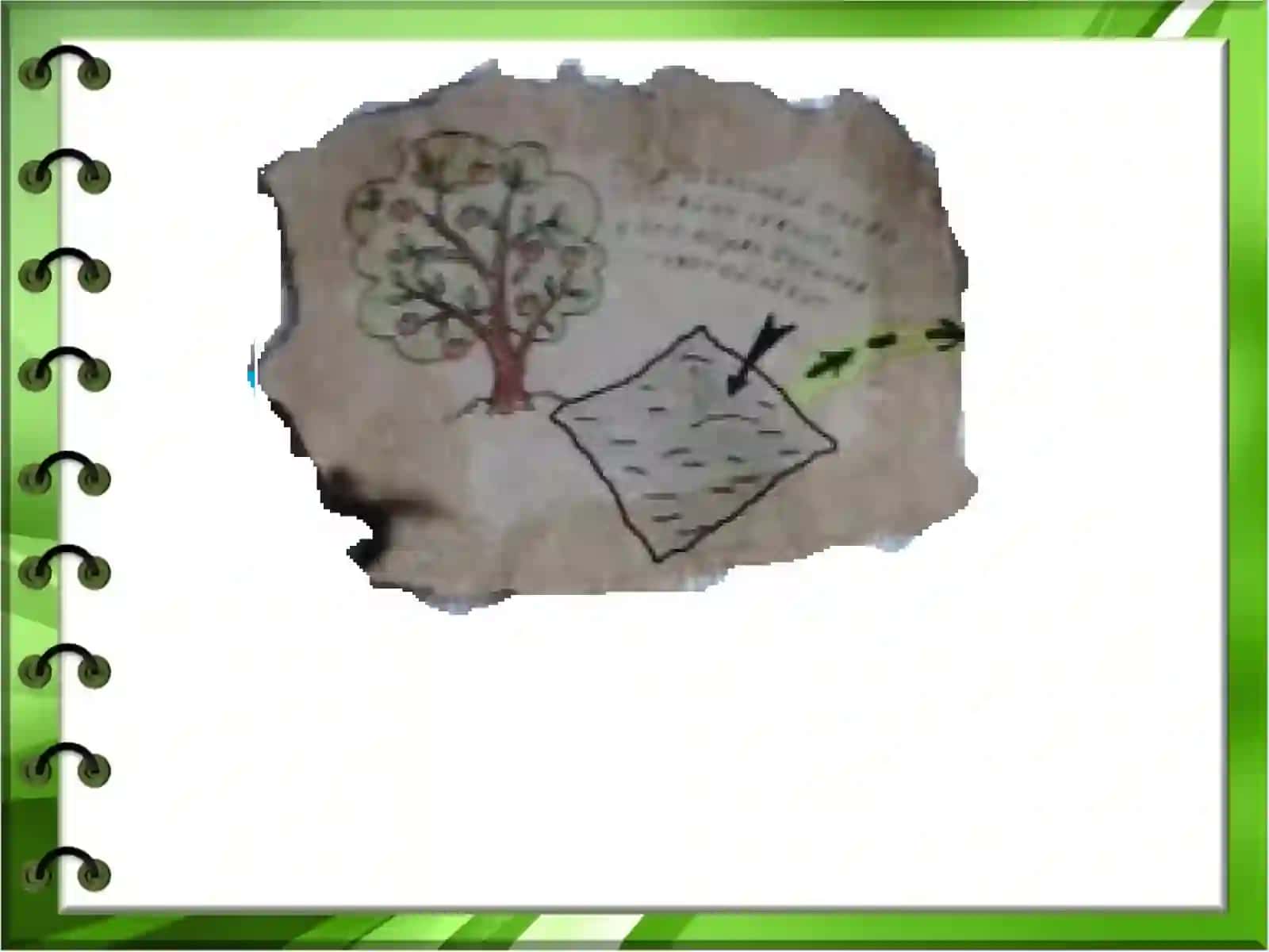 O`NLI KASRLARNI QO`SHISH VA AYIRISH 4