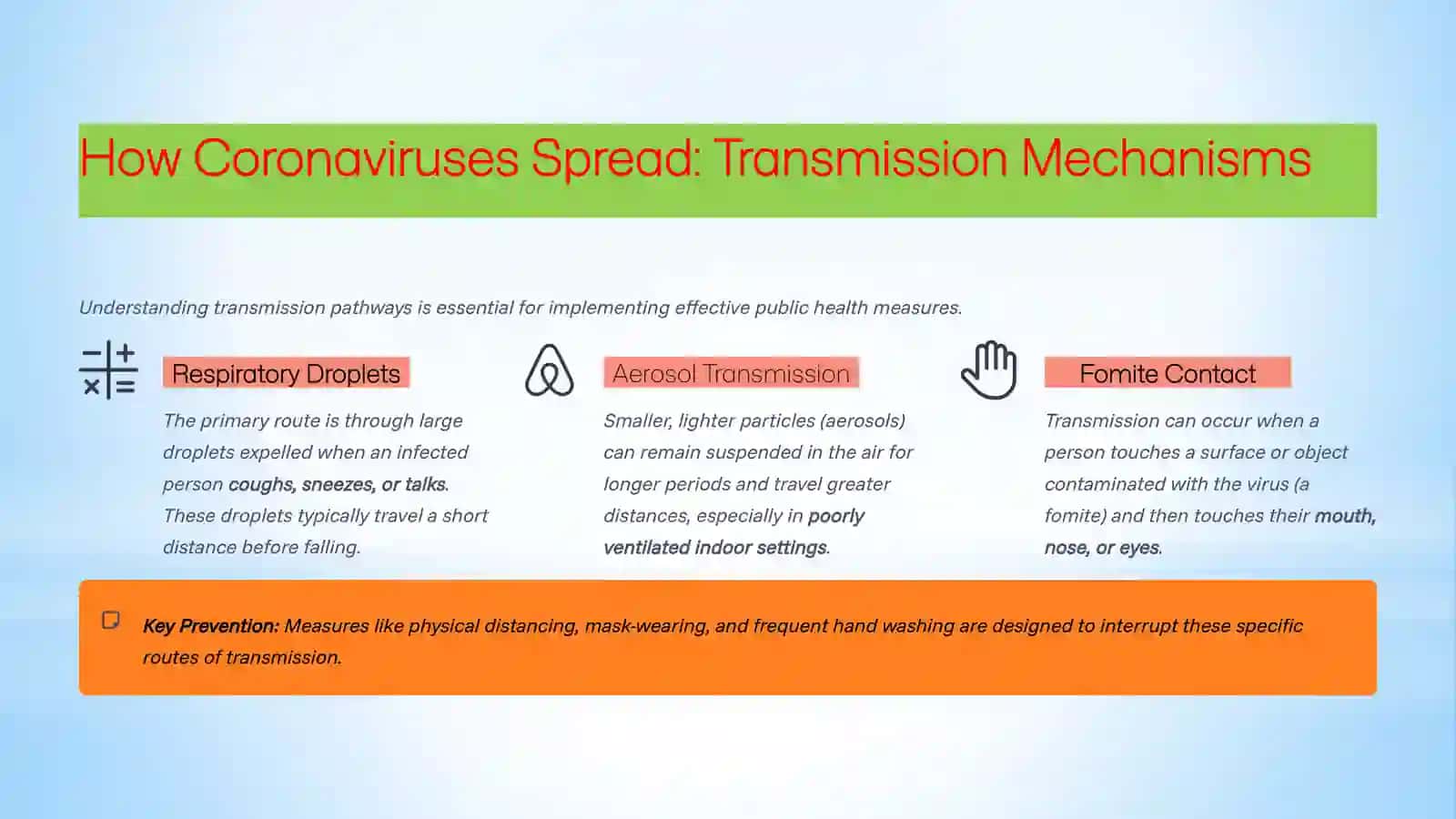 Coronavirus English translated 4
