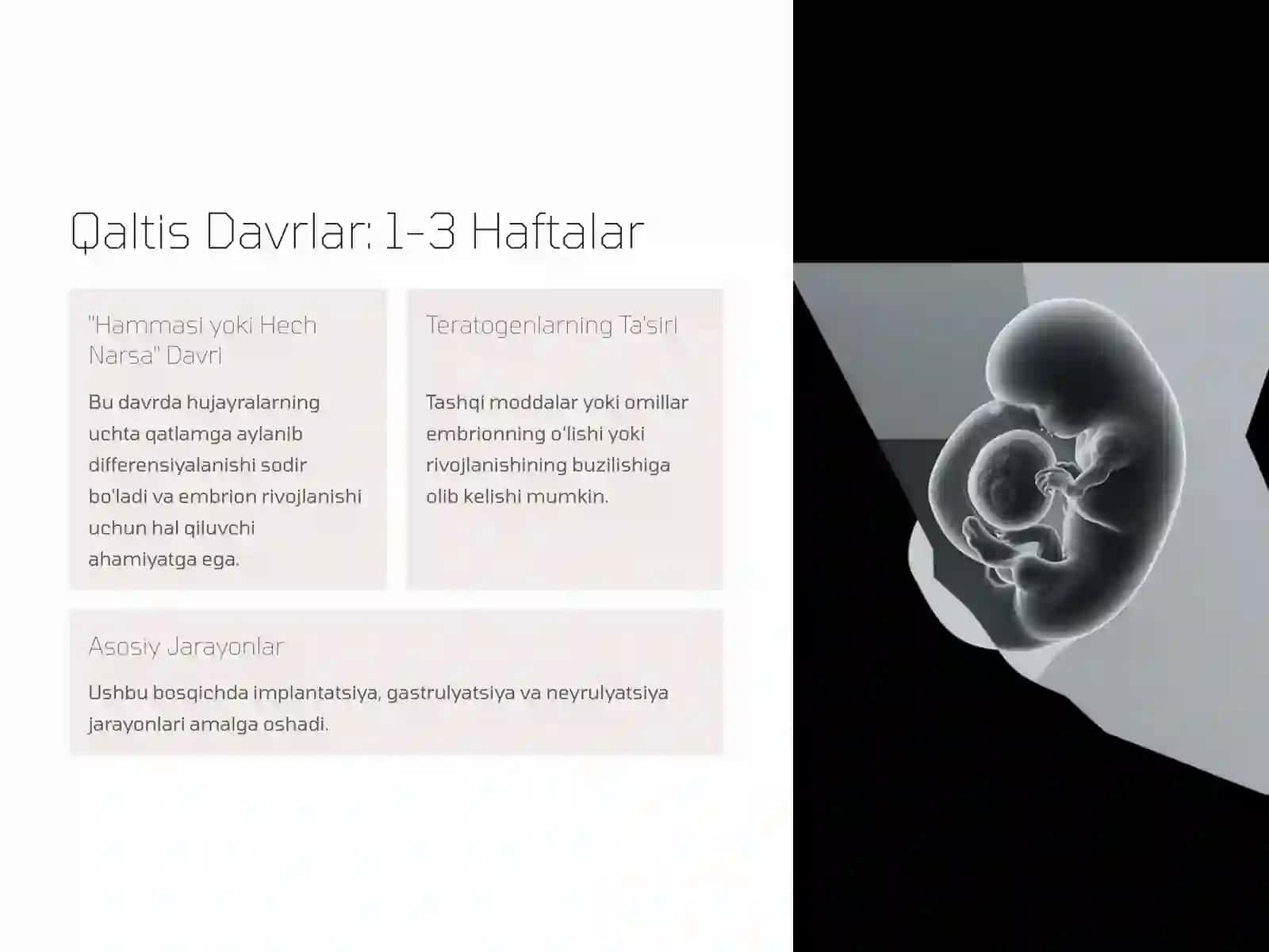 Odam Embriogenezining Qaltis Davrlari 4