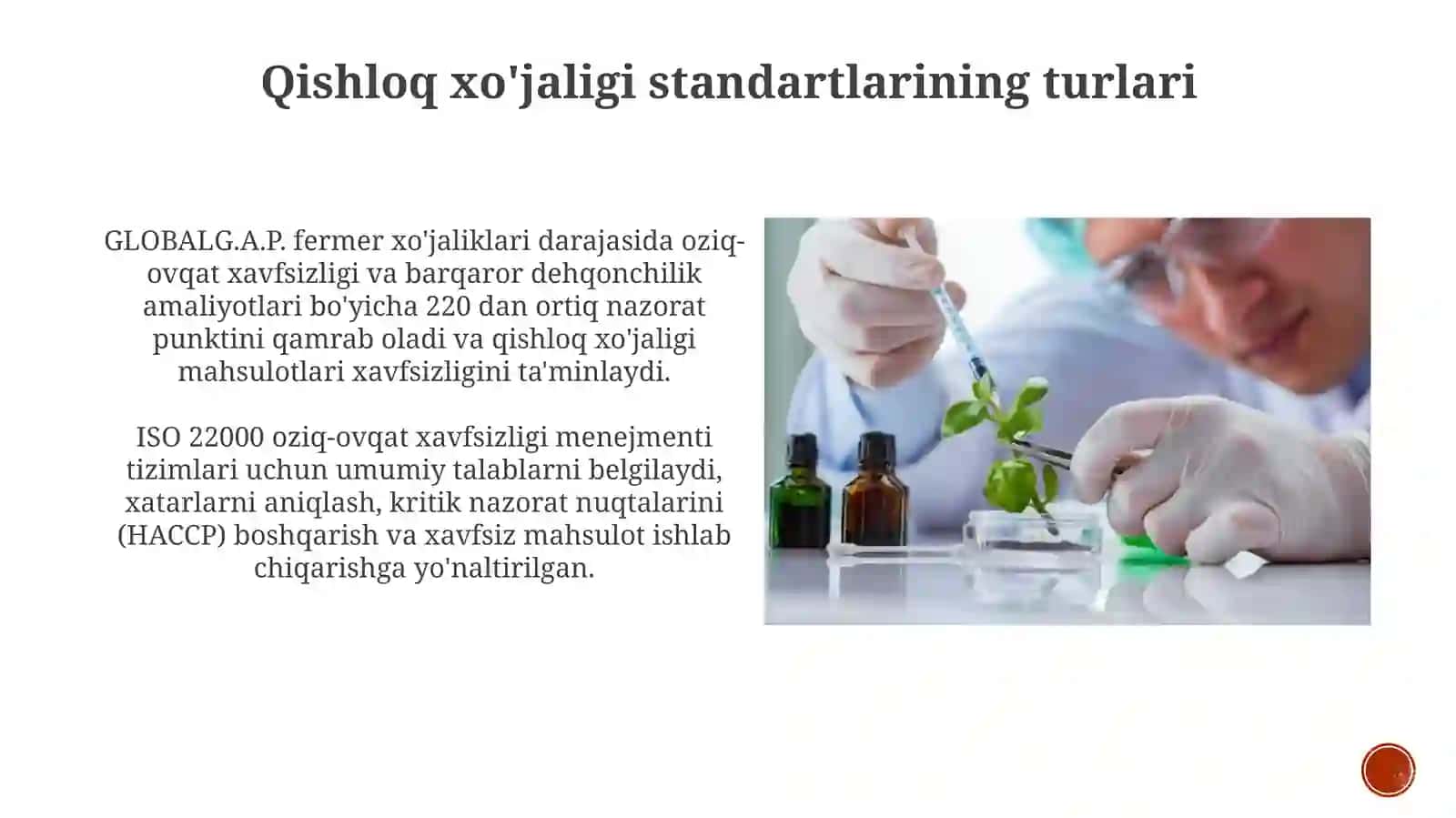 Xalqaro standartlarning qo'llanilishi 4