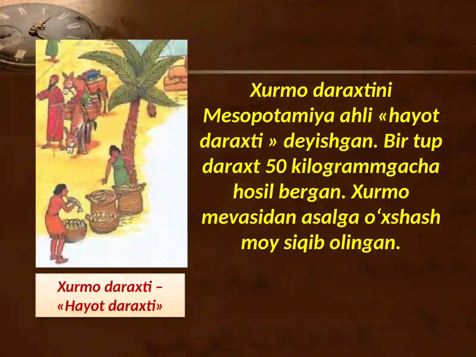Mesopotamiya sivilizatsiyalari 4