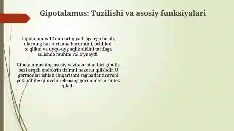 Vegetativ Oliy Markazlar va Ular Funksional Ahamiyati 4