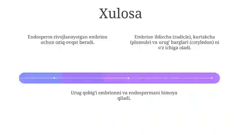 Gulli òsimliklar uruģining tuzilishi 4