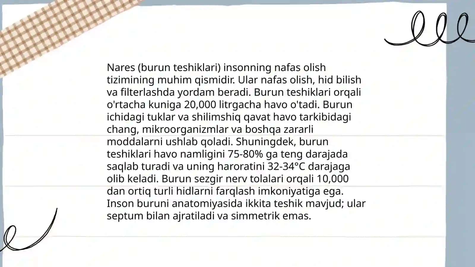 Trakeobronxial daraxt 4