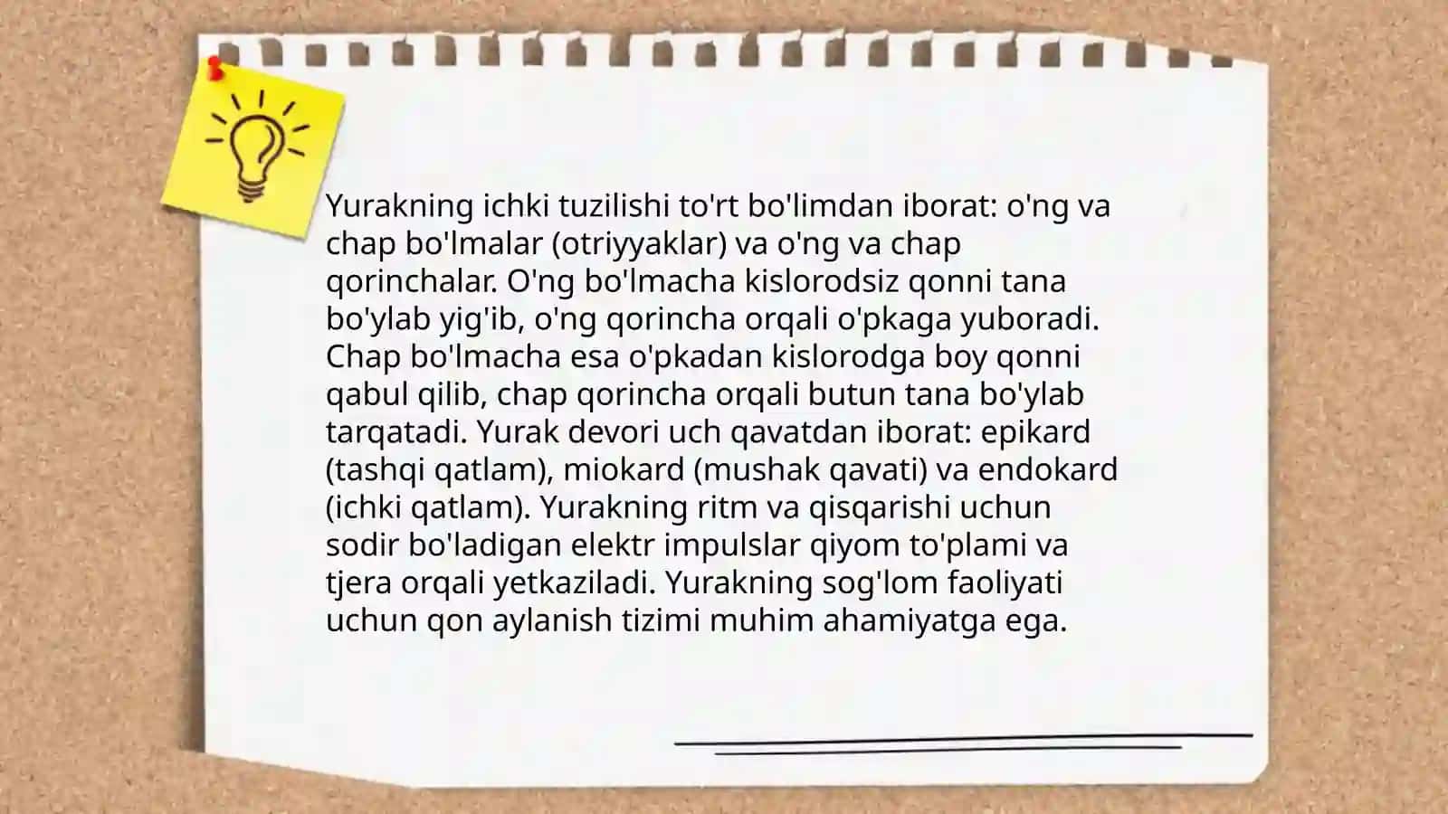 Yurakning tashqi va ichki tuzulishi 4