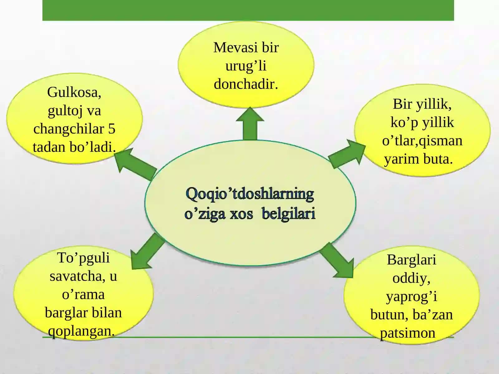 Qoqio’tdoshlar oilasi 4