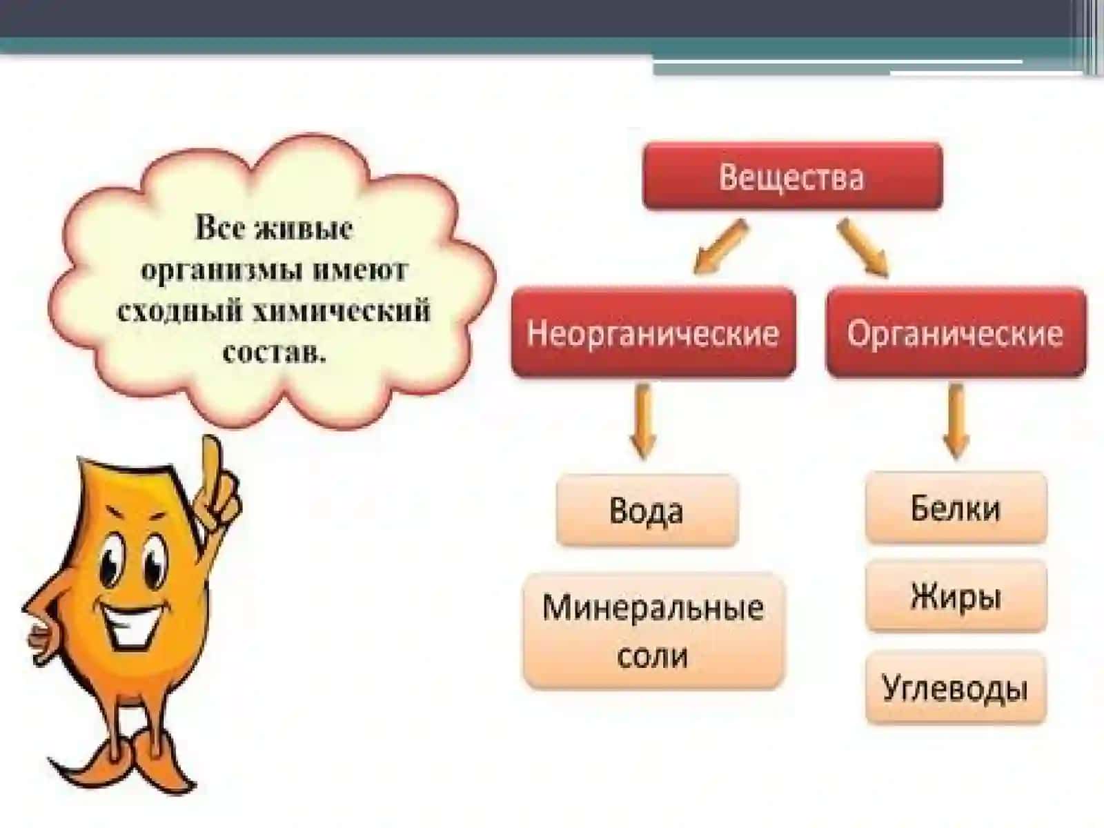 Химический состав и питание растений 4