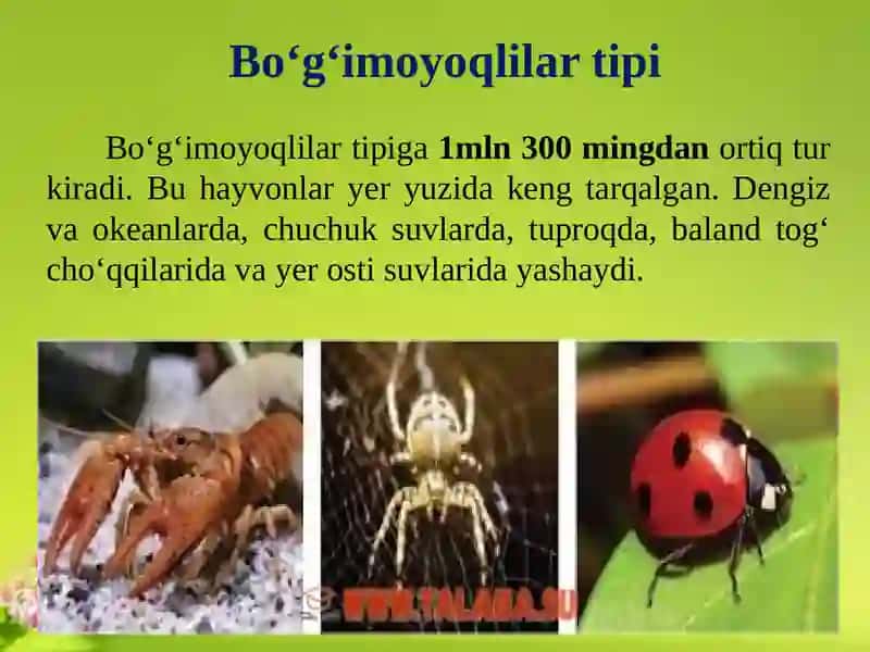 ZOOLOGIYA 1 4