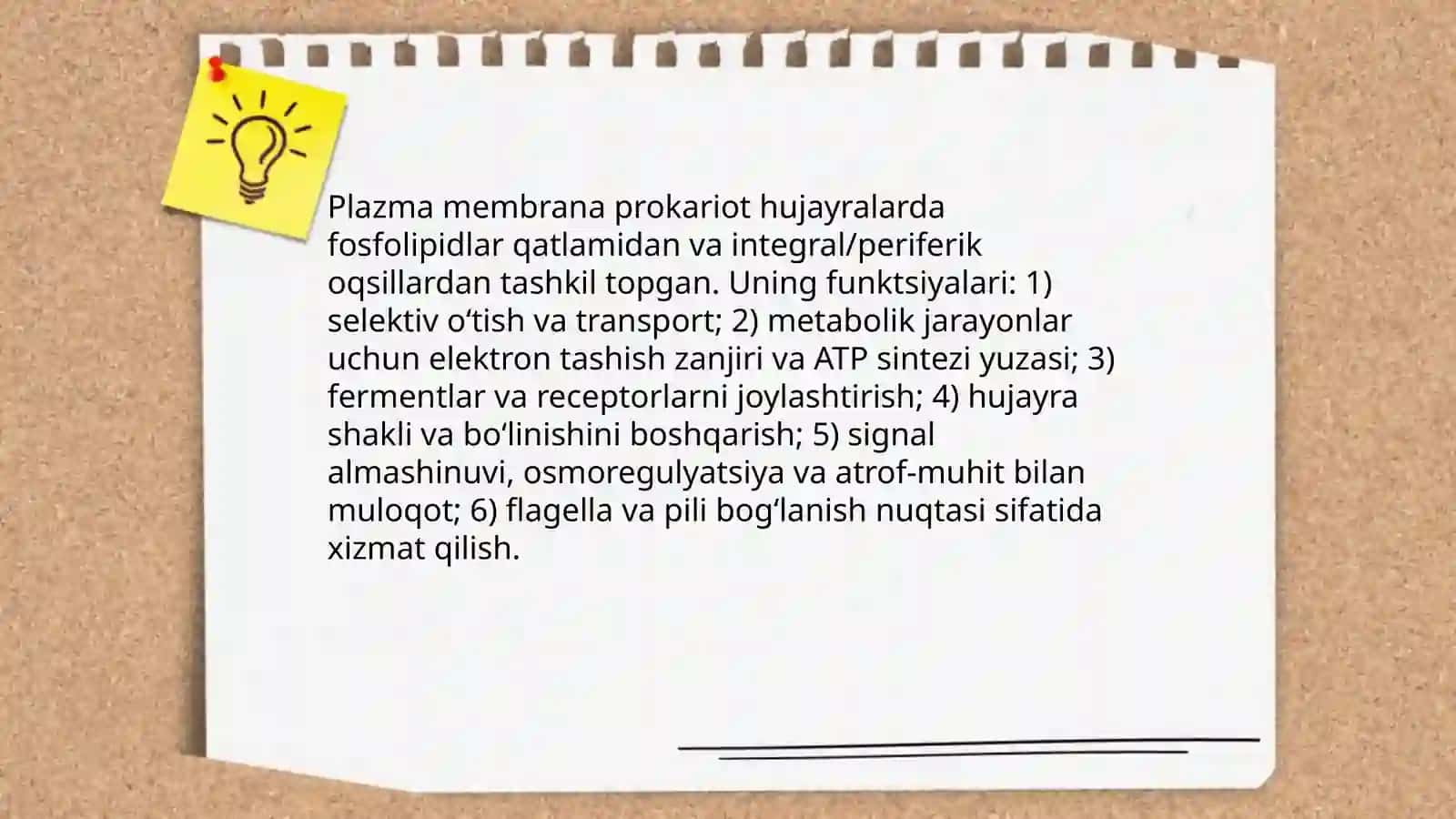 Prokariot hujayralar 4