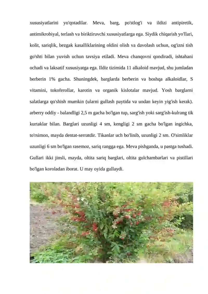ZIRKDOSHLAR OILASI 4