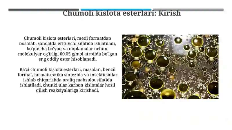 Chumoli kislotasining efirlari 4