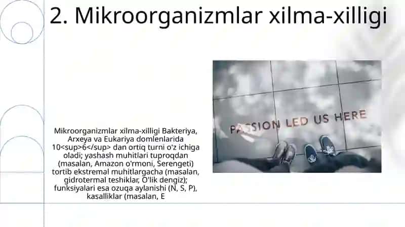 Mikroblar haqida hamma narsa 4