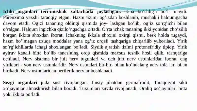 Soʼrgʼichlilar 4