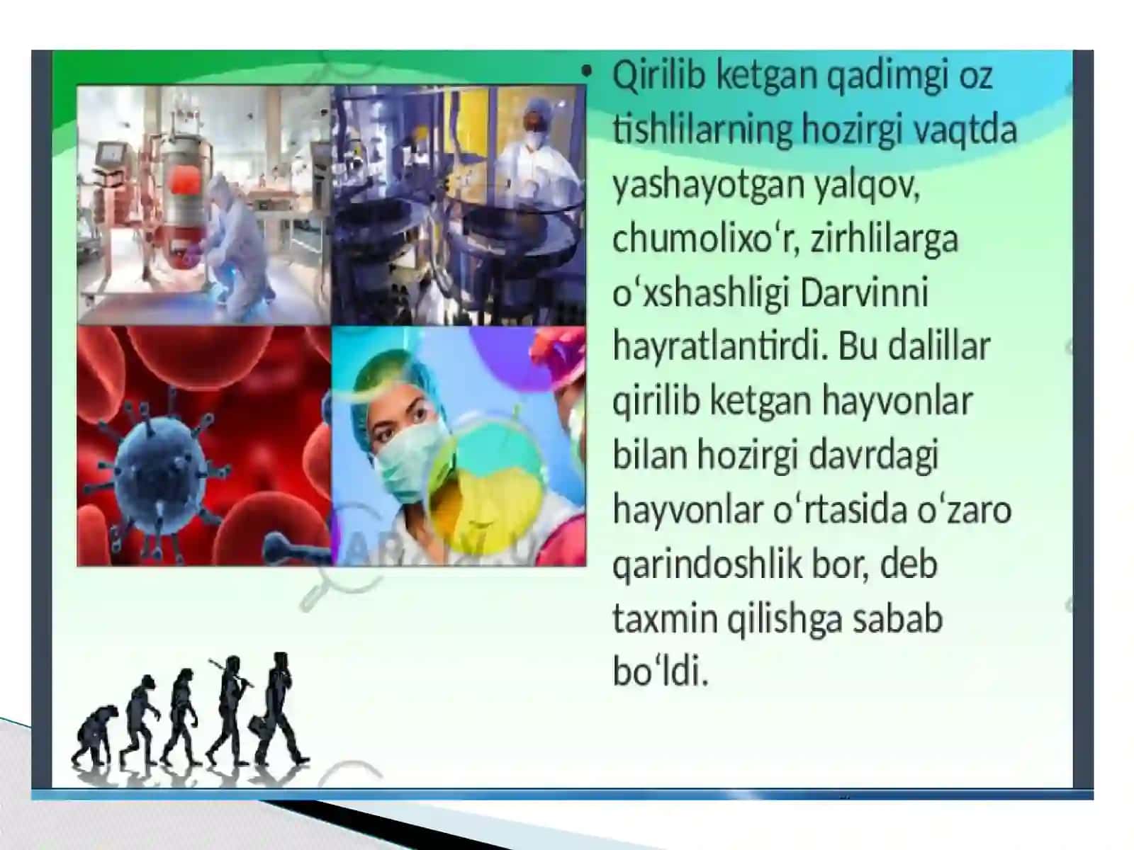 DARVIN EVOLYUSION TA'LIMOTINING MOXIYATI 4